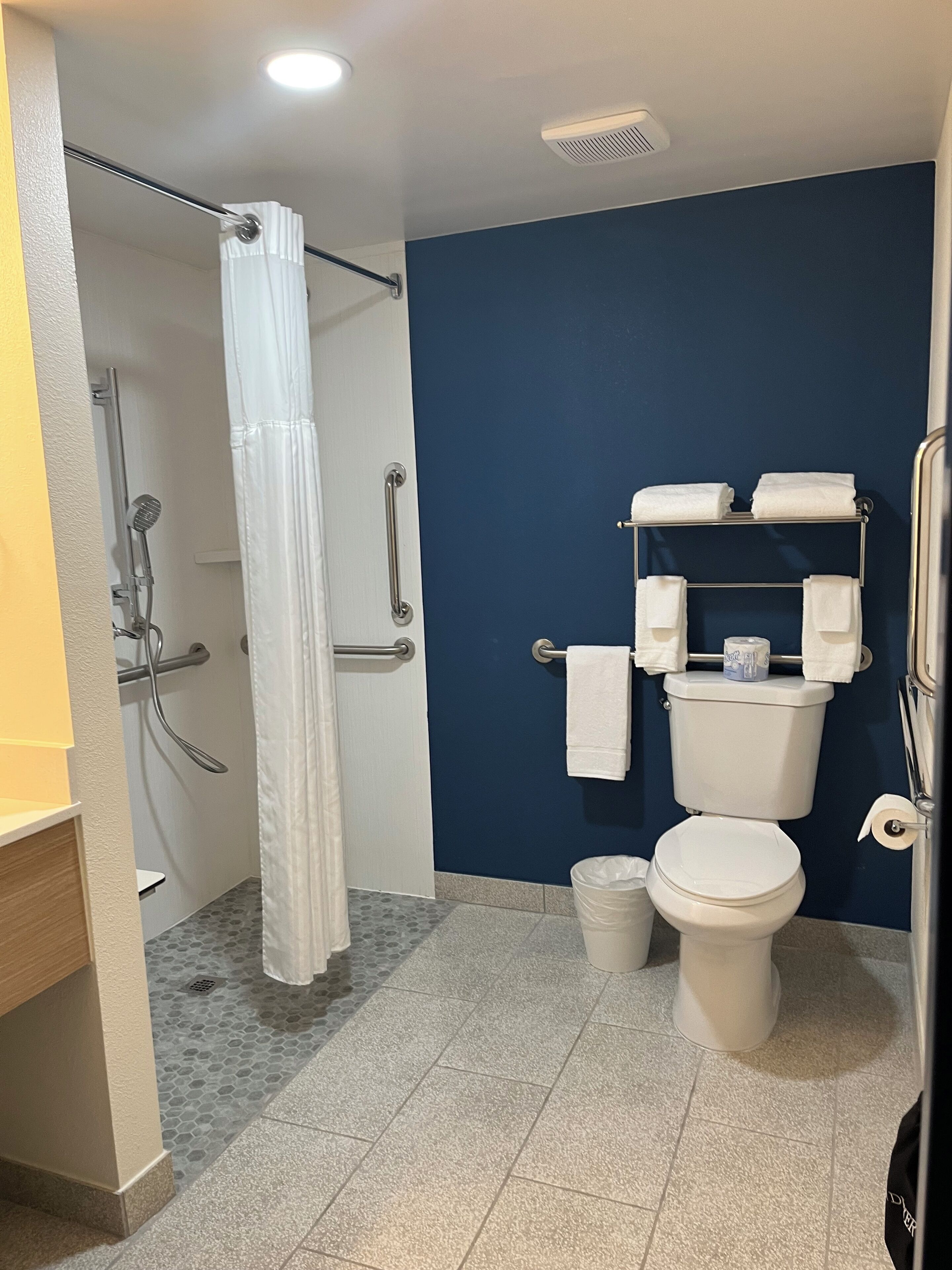 A bathroom with a shower, toilet, and handrails.