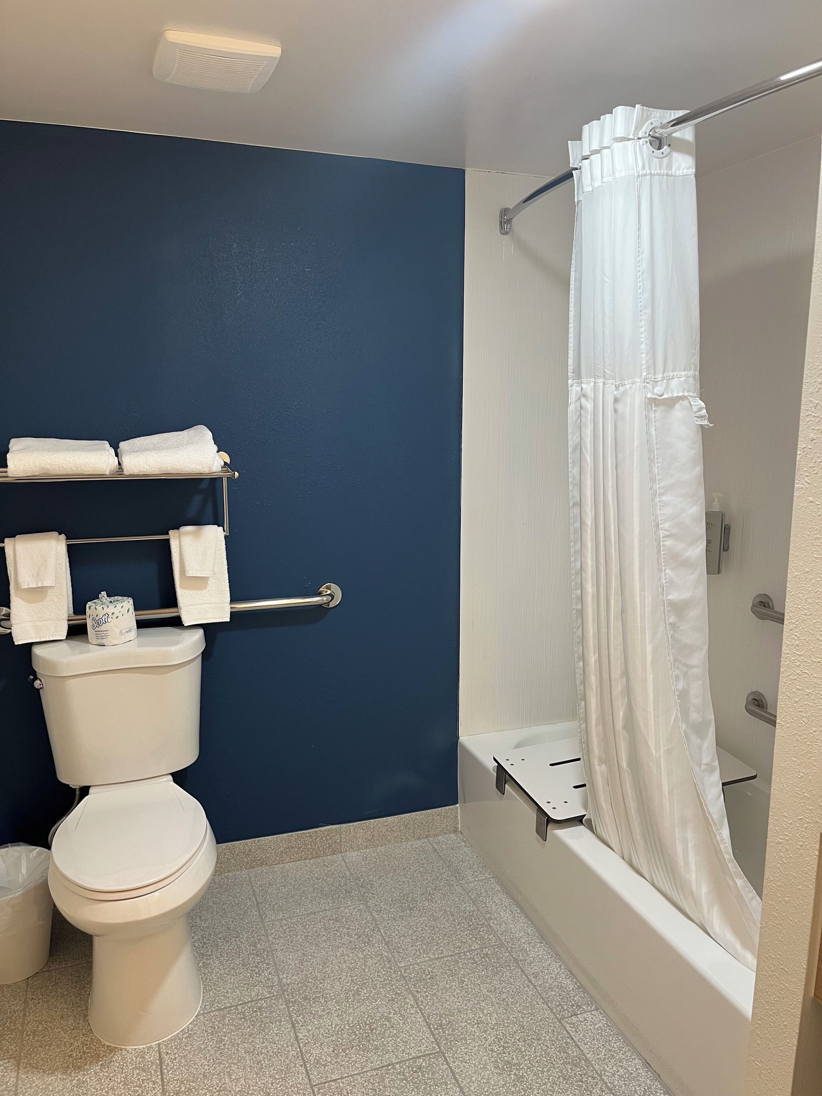 Un baño con inodoro, perchero para toallas y ducha con cortina.