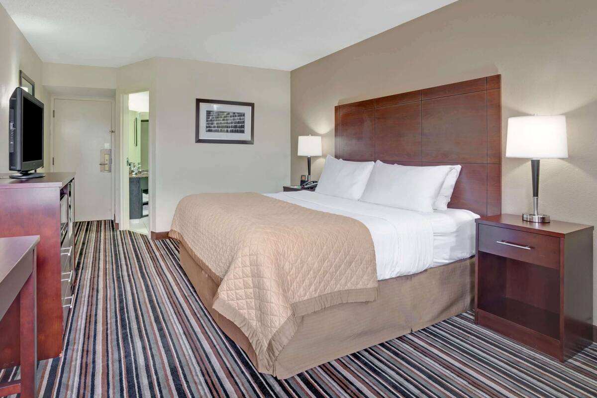 Une chambre d’hôtel avec un grand lit, deux tables de chevet avec des lampes, un téléviseur posé sur une commode et un tapis à rayures.