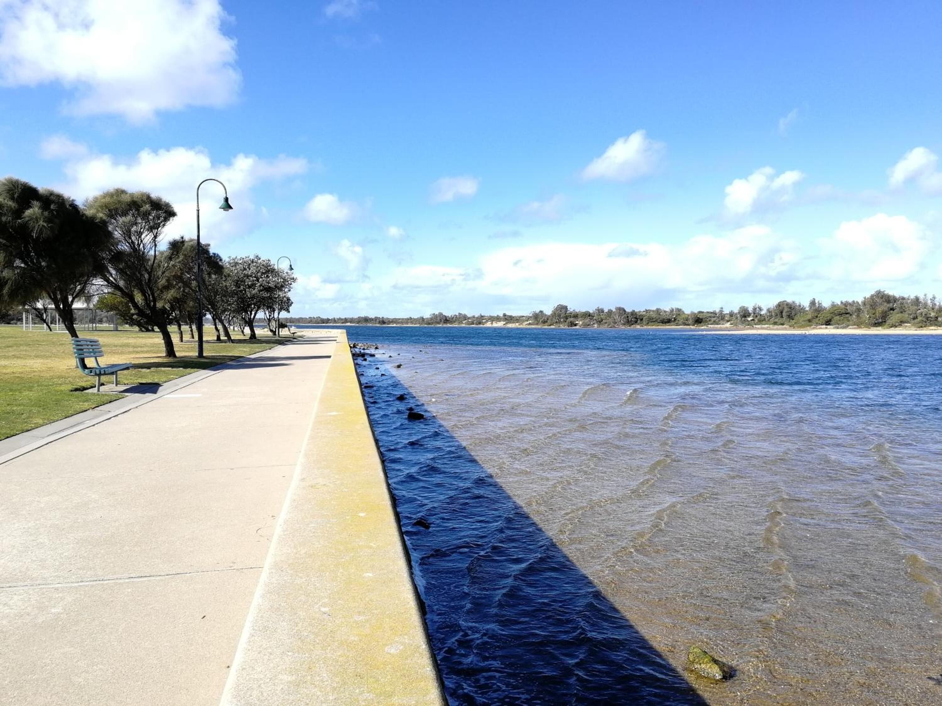 A waterfront walkway with benches and trees.