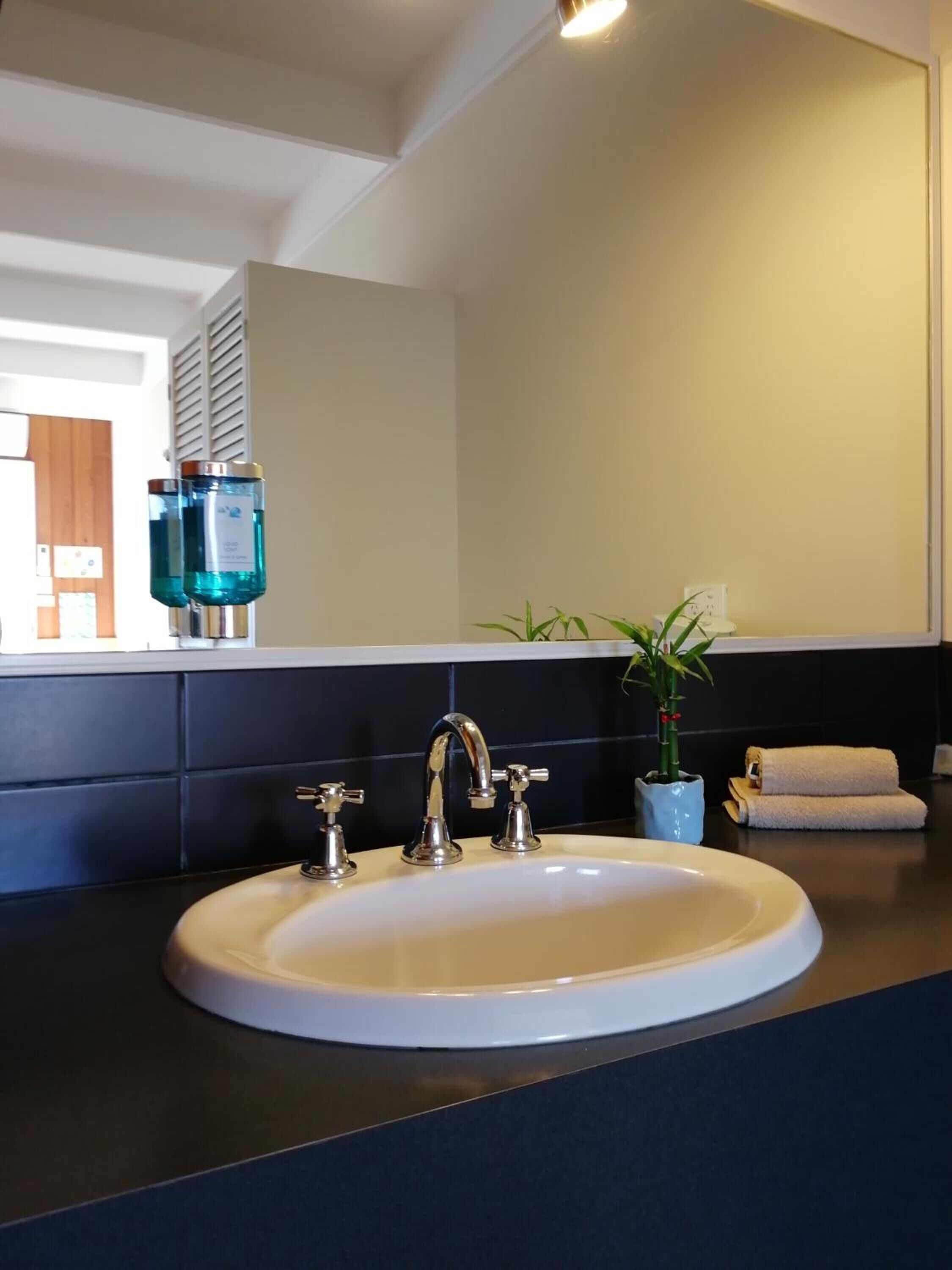 Un baño con un lavabo blanco, dos grifos y un espejo encima. En la encimera hay dos botellas de líquido azul, una planta en maceta y una toalla enrollada.
