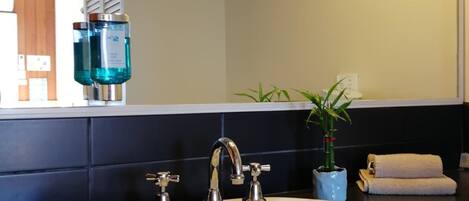 Un baño con un lavabo blanco, dos grifos y un espejo encima. En la encimera hay dos botellas de líquido azul, una planta en maceta y una toalla enrollada.