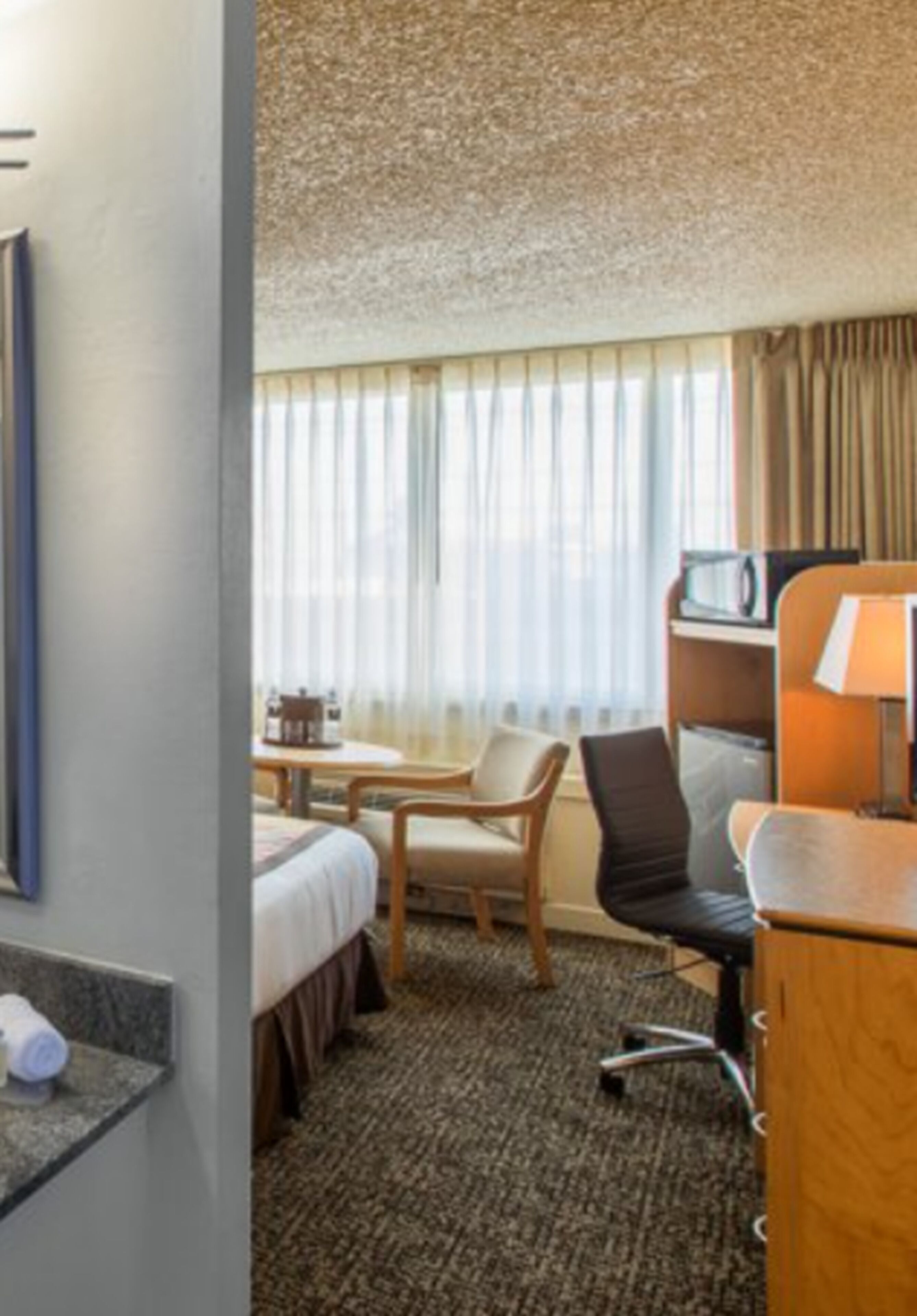 標準客房, 1 張特大雙人床, 城市景 | 客房景觀