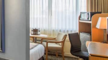 Quarto standard, 1 cama King, vista para a cidade | Vista do quarto