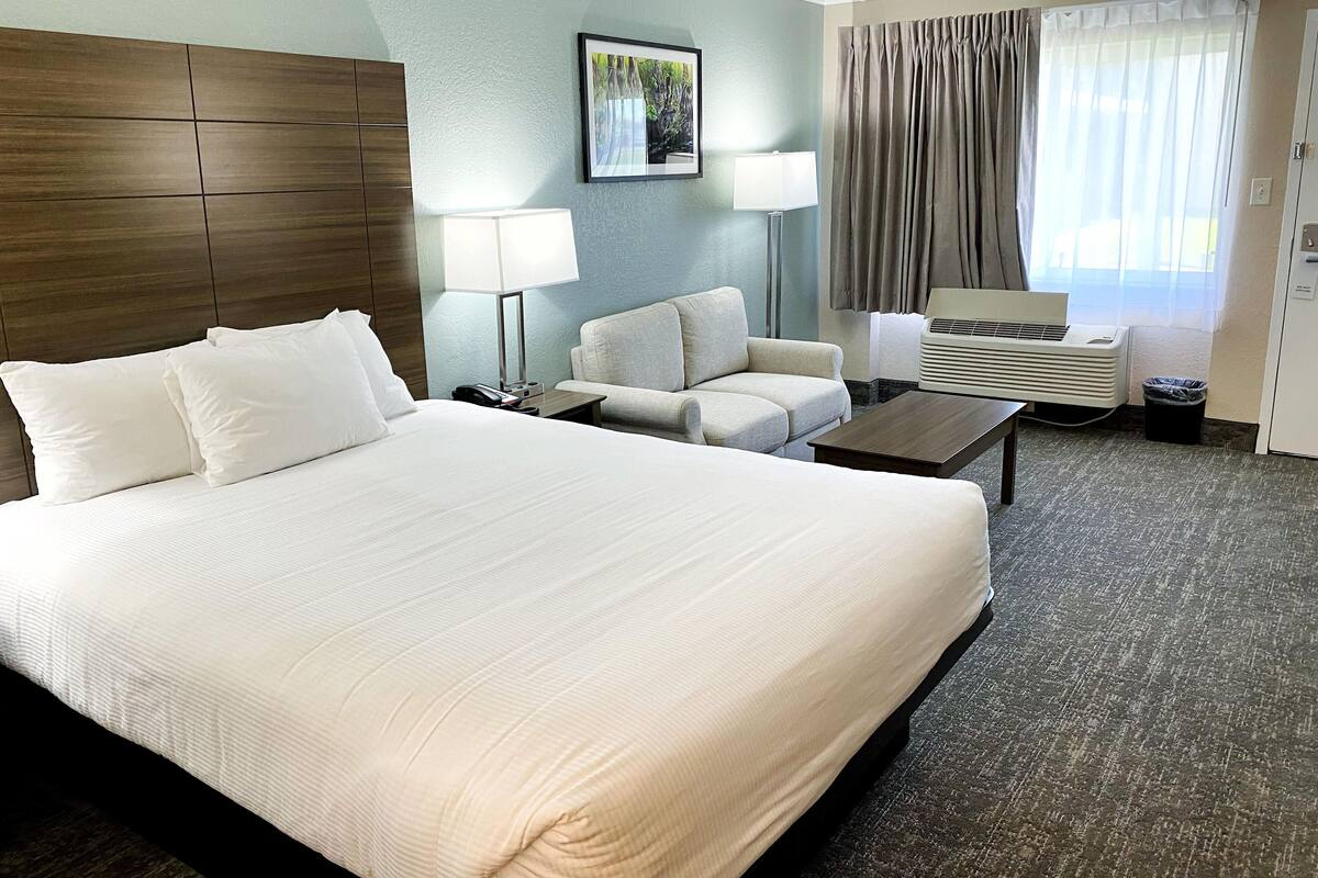 Habitación de hotel con una cama grande, un sofá, una mesa de centro, un escritorio y una ventana con cortinas.