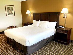 Desk, laptop workspace, blackout drapes, free WiFi - Roadstar Hotel Zephyrhills (Zephyrhills)