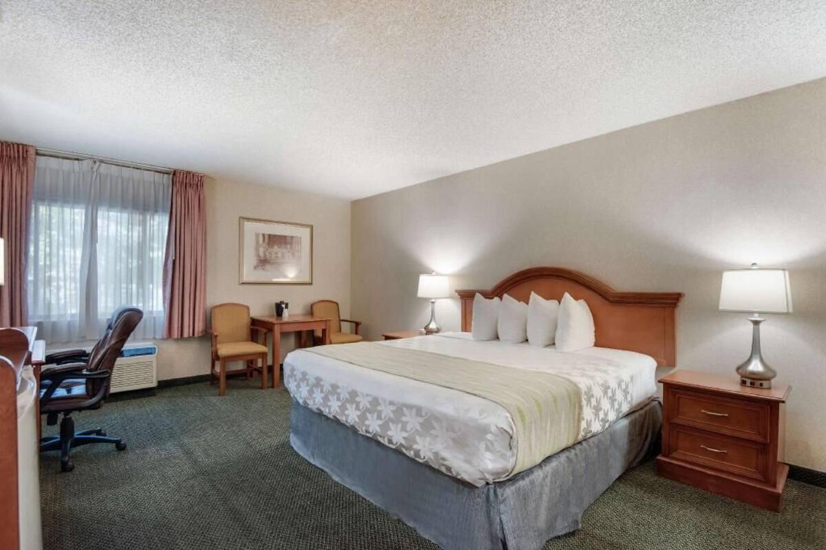 A hotel room with a bed, desk, chair, and lamps.