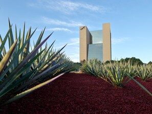 Stunning building with a unique design, featuring a central glass facade and two symmetrical towers, surrounded by a beautifully landscaped area with a variety of plants.
