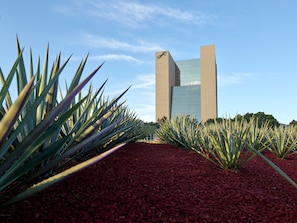 Stunning building with a unique design, featuring a central glass facade and two symmetrical towers, surrounded by a beautifully landscaped area with a variety of plants.