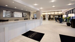 منطقة الاستقبال