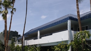 Une piscine entourée de chaises longues et de palmiers, le tout bordé d’un bâtiment doté d’un toit bleu et de murs blancs.