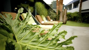 Un gros plan d’une plante verte à feuilles ondulées, sur fond d’un bâtiment moderne doté d’un chemin en béton et d’une zone herbeuse.