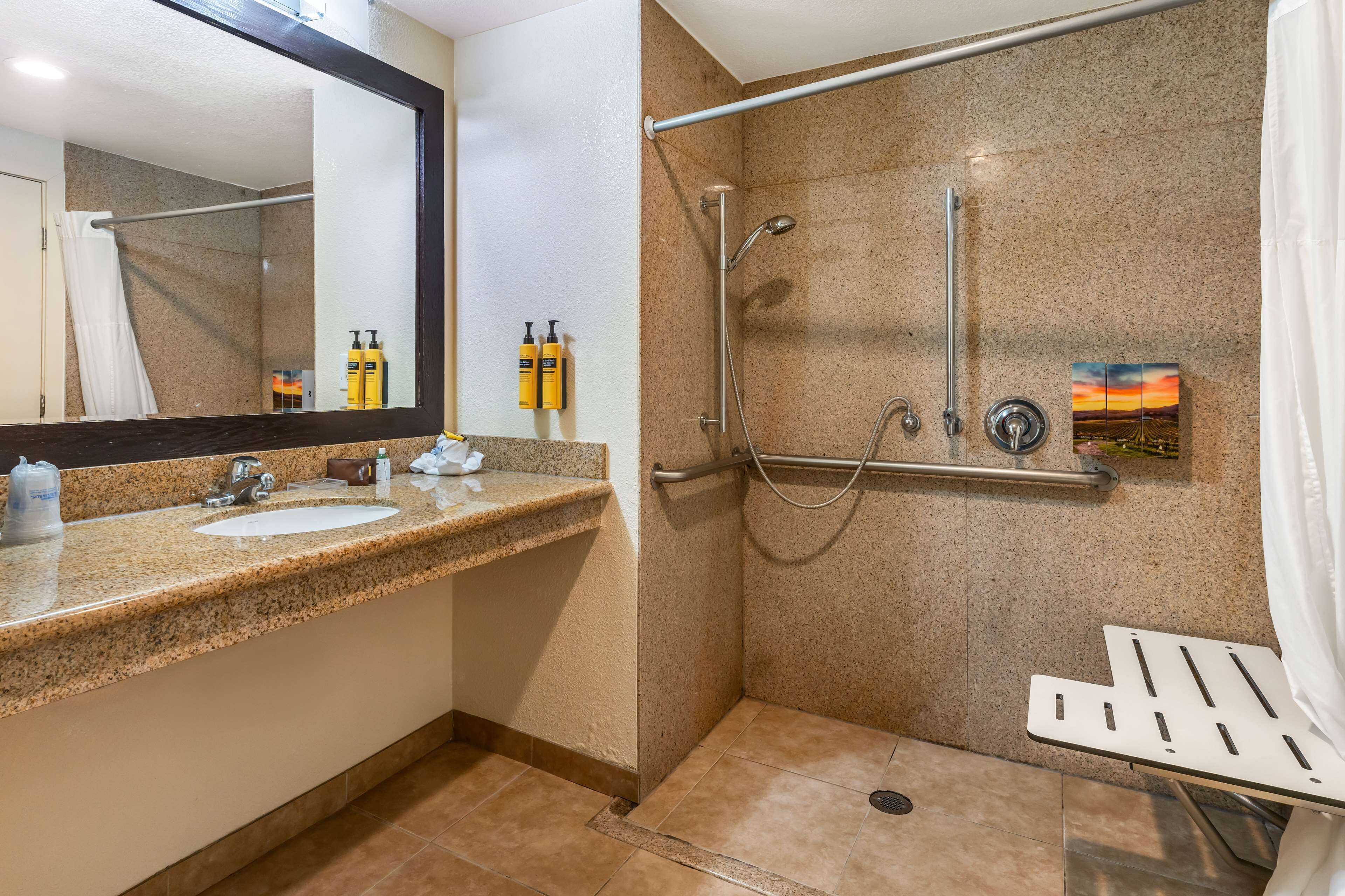A bathroom with a granite countertop sink, a mirror, and a shower with a grab bar.