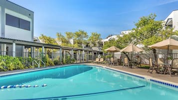 Outdoor pool, sun loungers