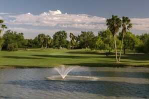 A golf course with a water fountain, palm trees, and a clear sky. - Rancho Viejo Resort and Country Club (Olmito)
