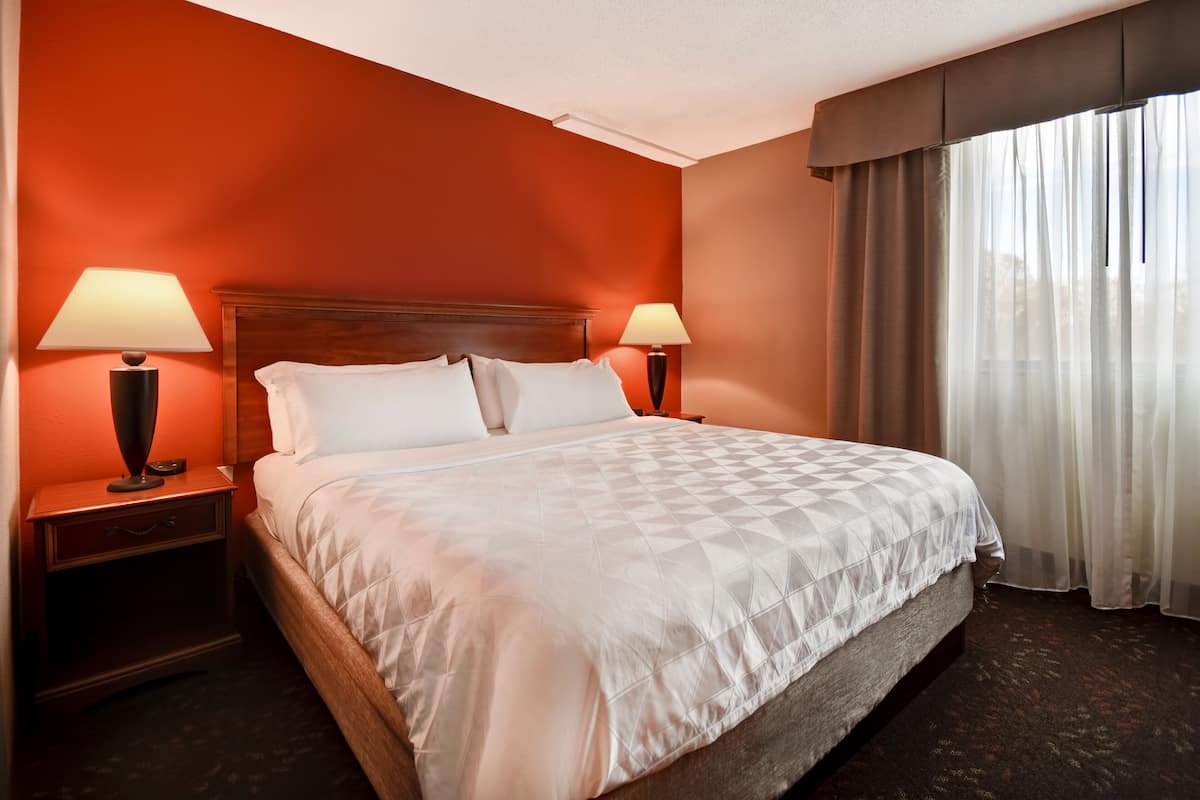 Suite, 1 King Bed with Sofa bed