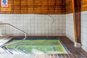 Indoor pool - Econo Lodge Sioux Falls North (Sioux Falls)