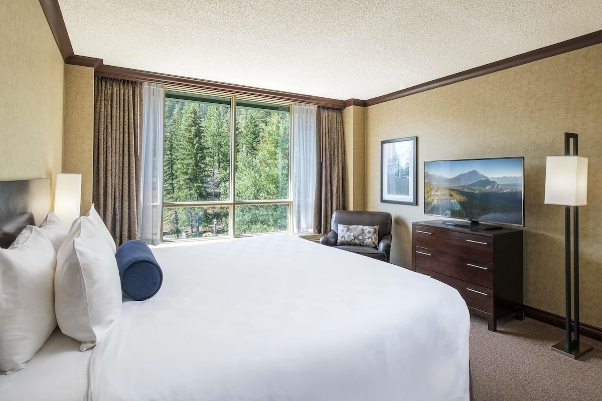 Premium bedding, pillow-top beds, minibar, in-room safe