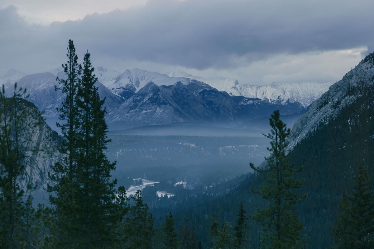 Premium bedding, pillow-top beds, minibar, in-room safe