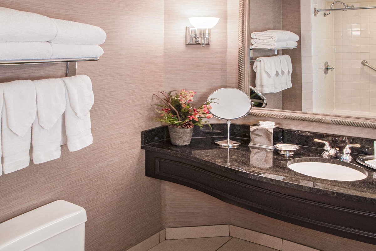 Premium bedding, pillow-top beds, minibar, in-room safe