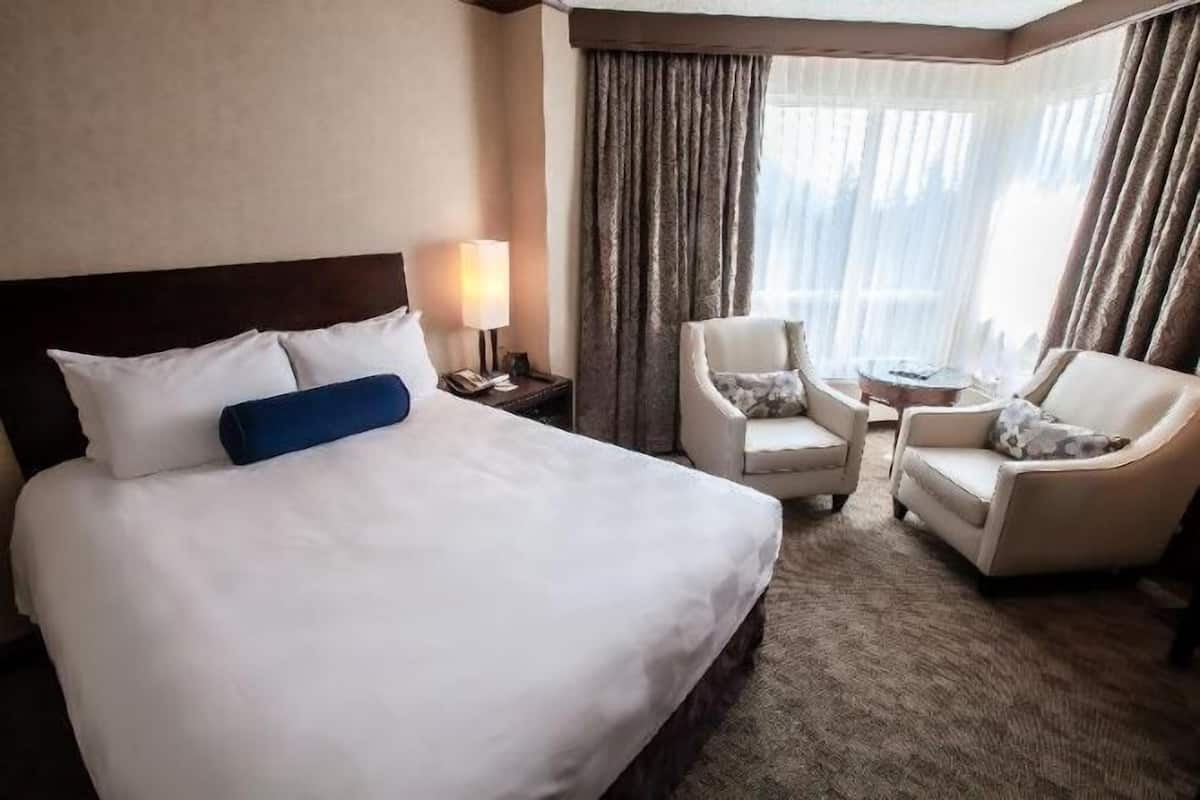 Premium bedding, pillow-top beds, minibar, in-room safe