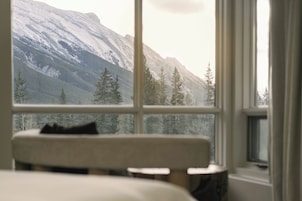 Premium bedding, pillowtop beds, minibar, in-room safe