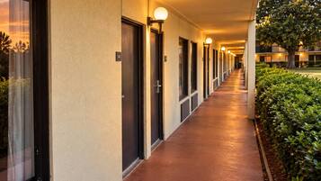 A hotel corridor with doors, a lighted pathway, and a hedge on one side.