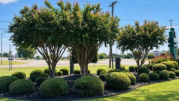 A landscaped area with neatly trimmed bushes and trees, a clear sky, and a road in the background.