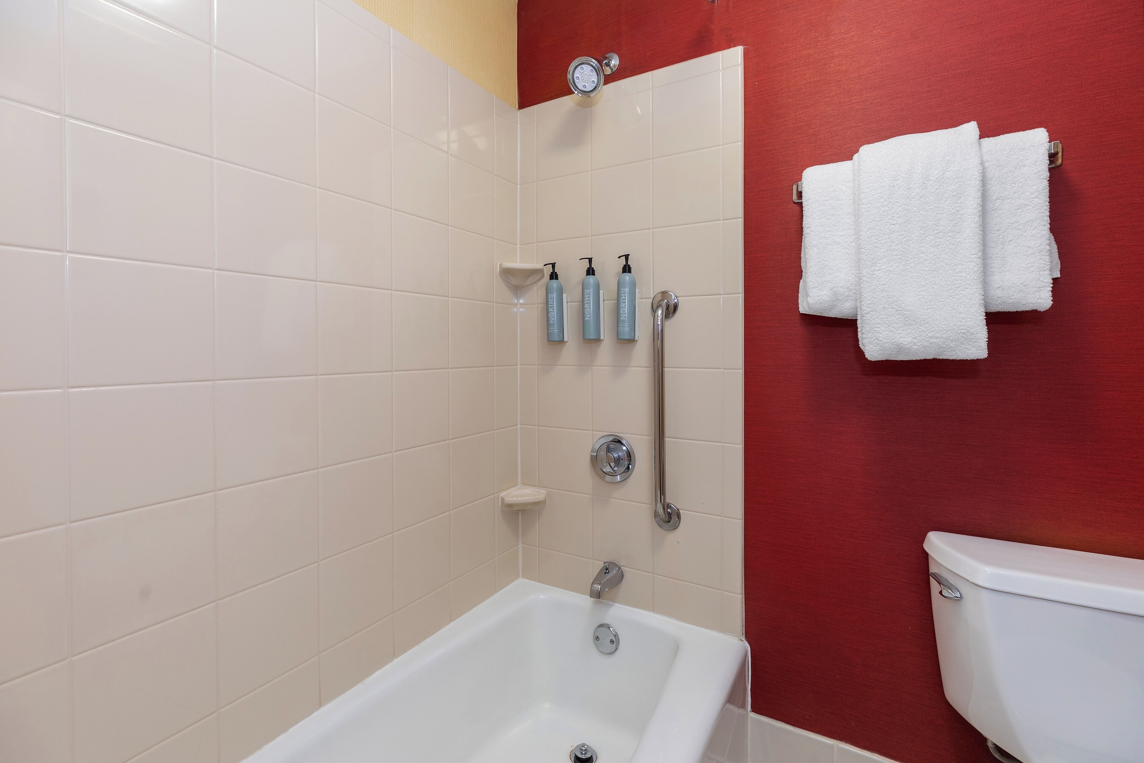 combined shower/bathtub, free toiletries, hair dryer, towels