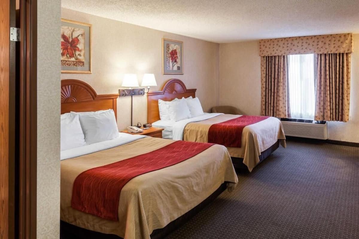 A hotel room with two beds, a nightstand, a lamp, a window with curtains, and artwork on the walls.