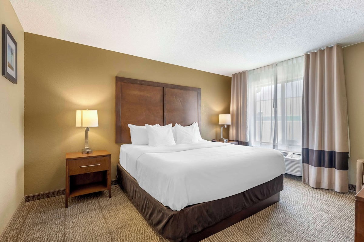 A hotel room with a large bed, two bedside tables with lamps, a wooden headboard, a window with curtains, and a carpeted floor.