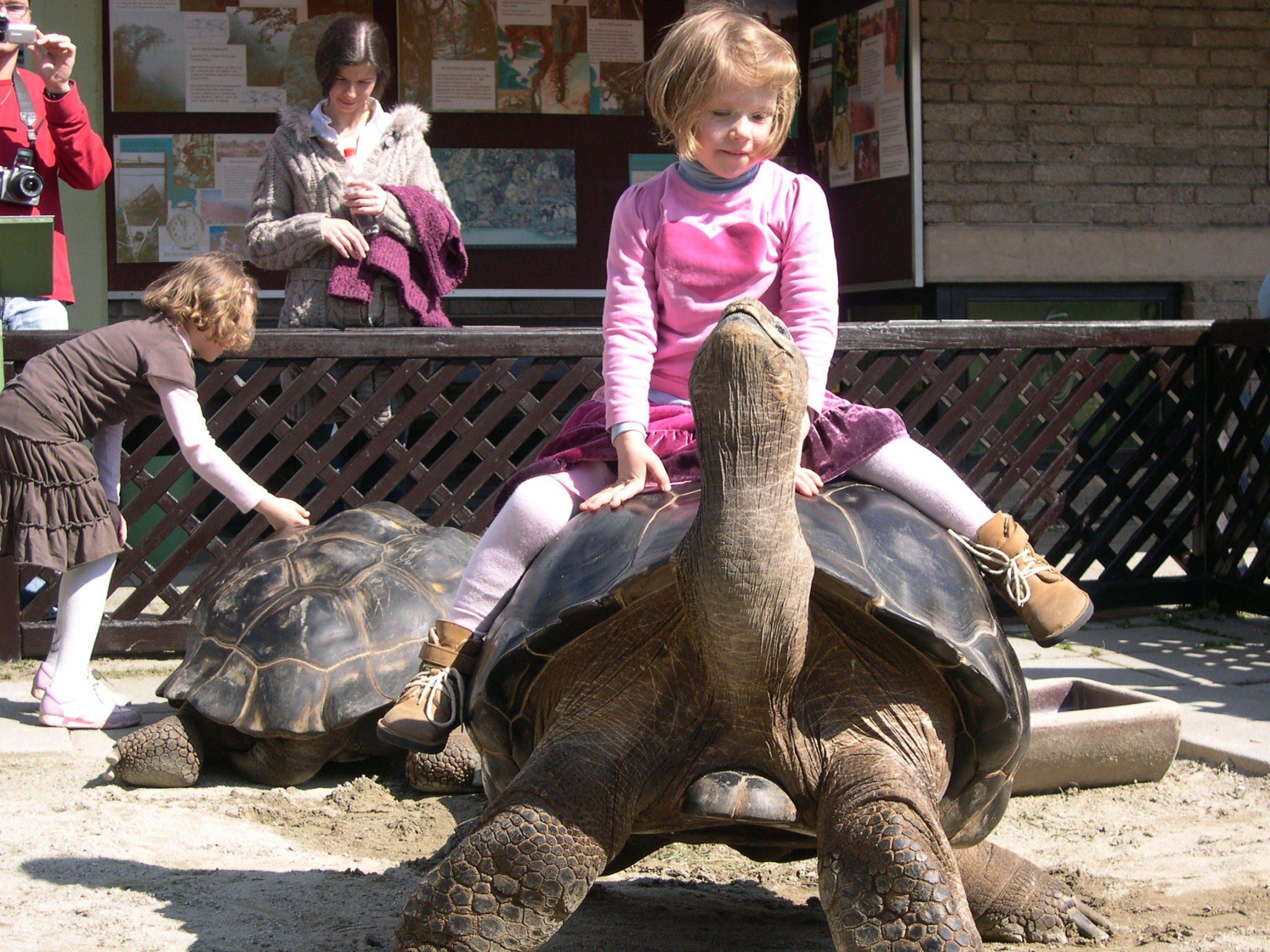 A person riding an elephant.