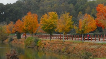 A park with a pond, trees with autumn foliage, a red fence, and a pathway.