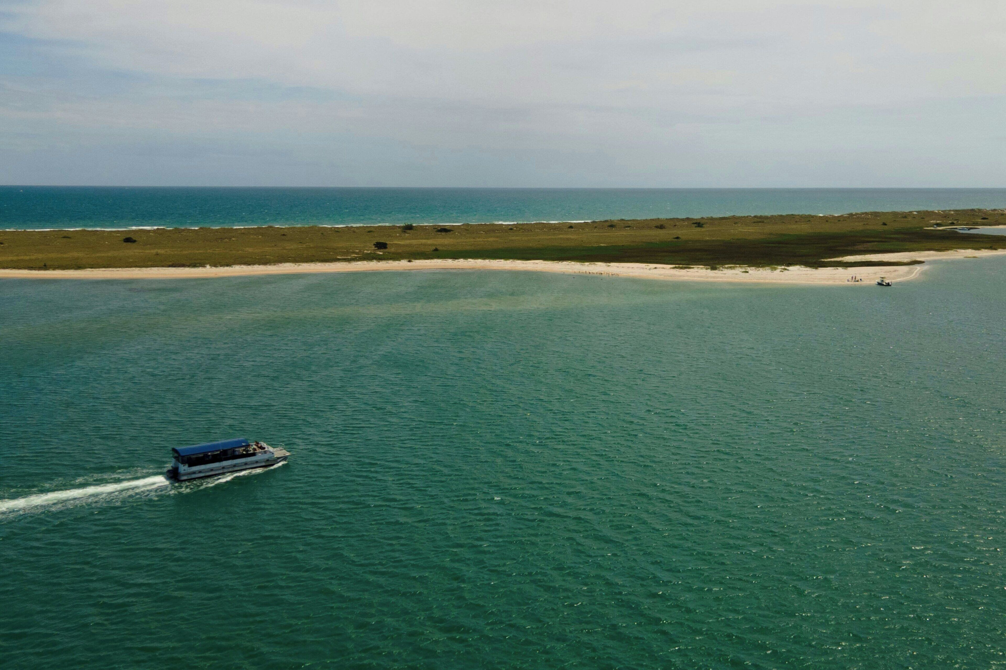 A boat traveling across a body of water with a sandy beach and sparse vegetation in the background.