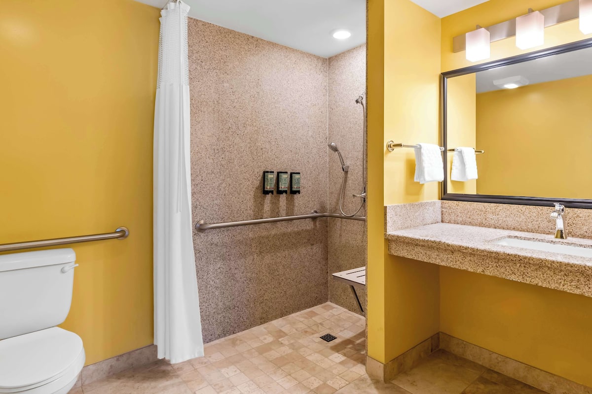 Standard Room, 1 King Bed, Accessible, Non Smoking | Bathroom | Shower, free toiletries, hair dryer, towels