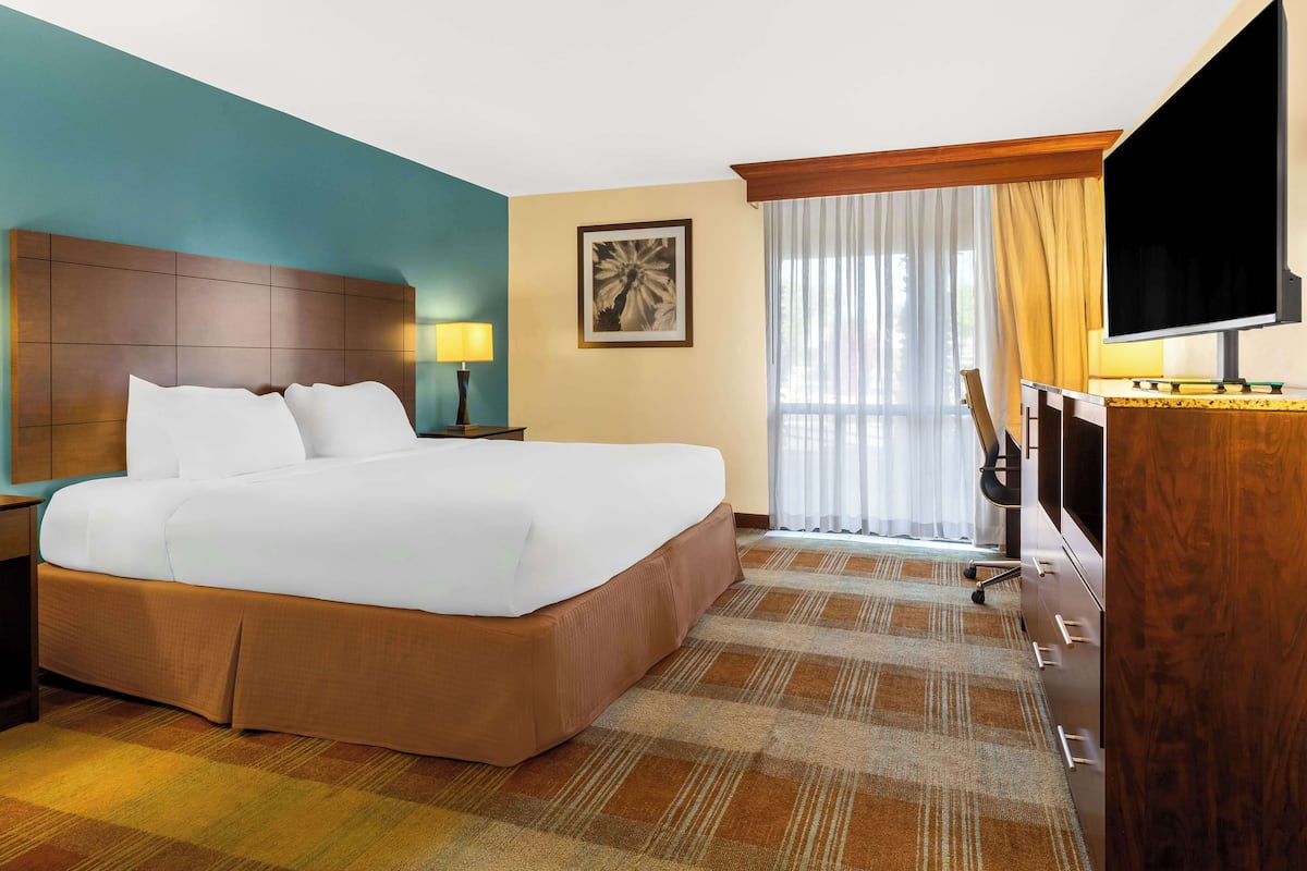 Standard Room, 1 King Bed, Accessible, Non Smoking | In-room safe, desk, laptop workspace, iron/ironing board