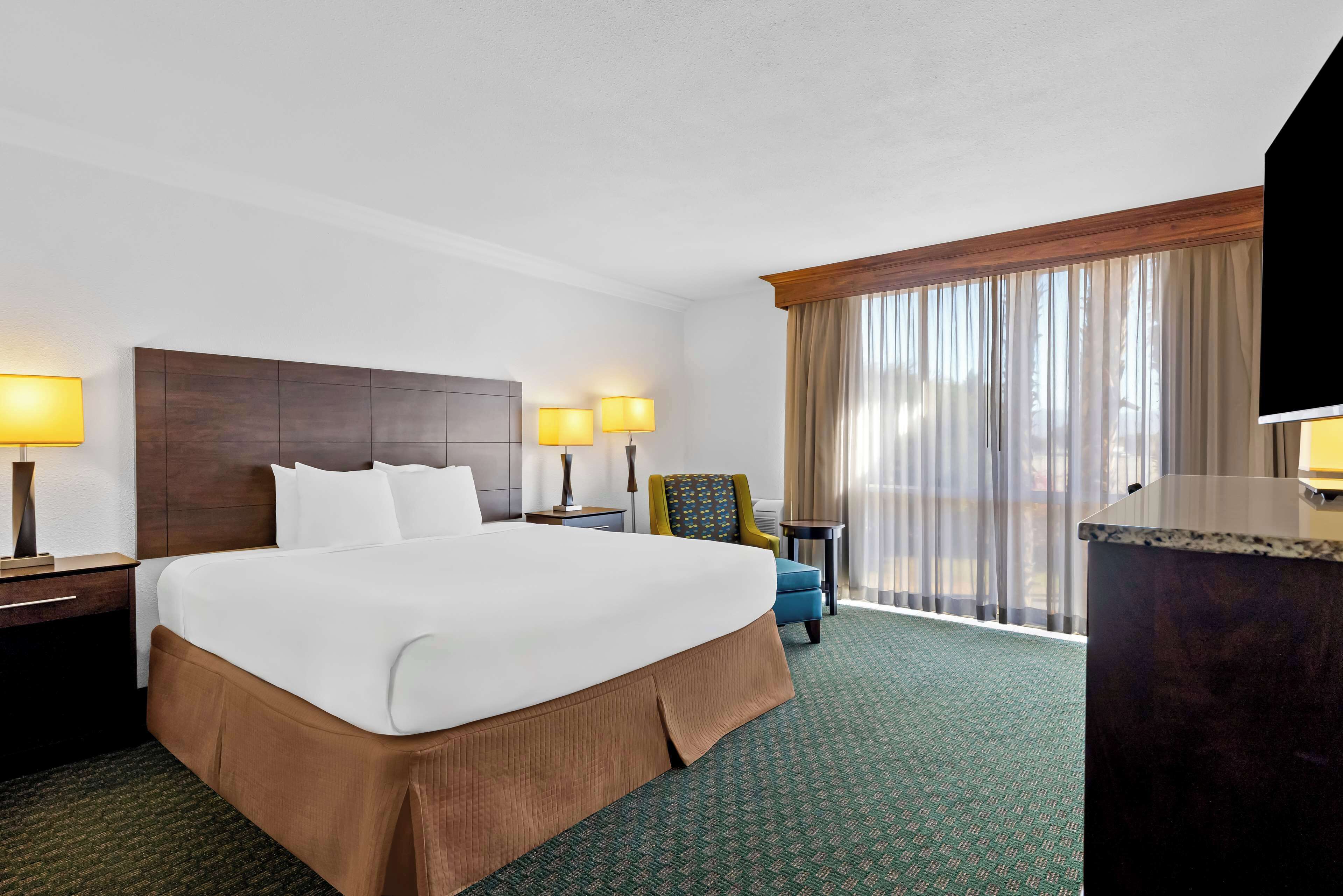 Standard Room, 1 King Bed, Non Smoking, Refrigerator & Microwave