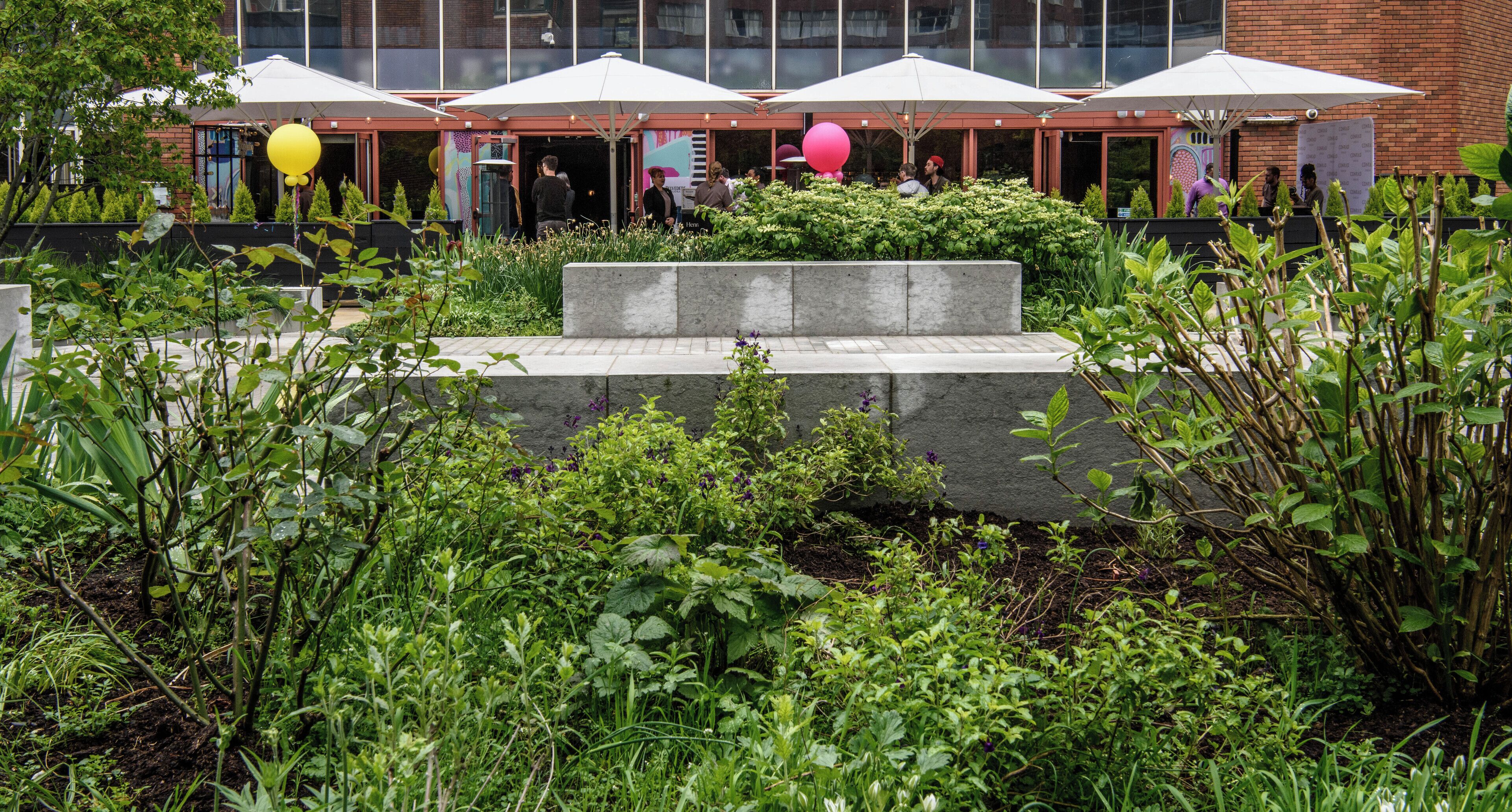 Foto - Conrad Dublin