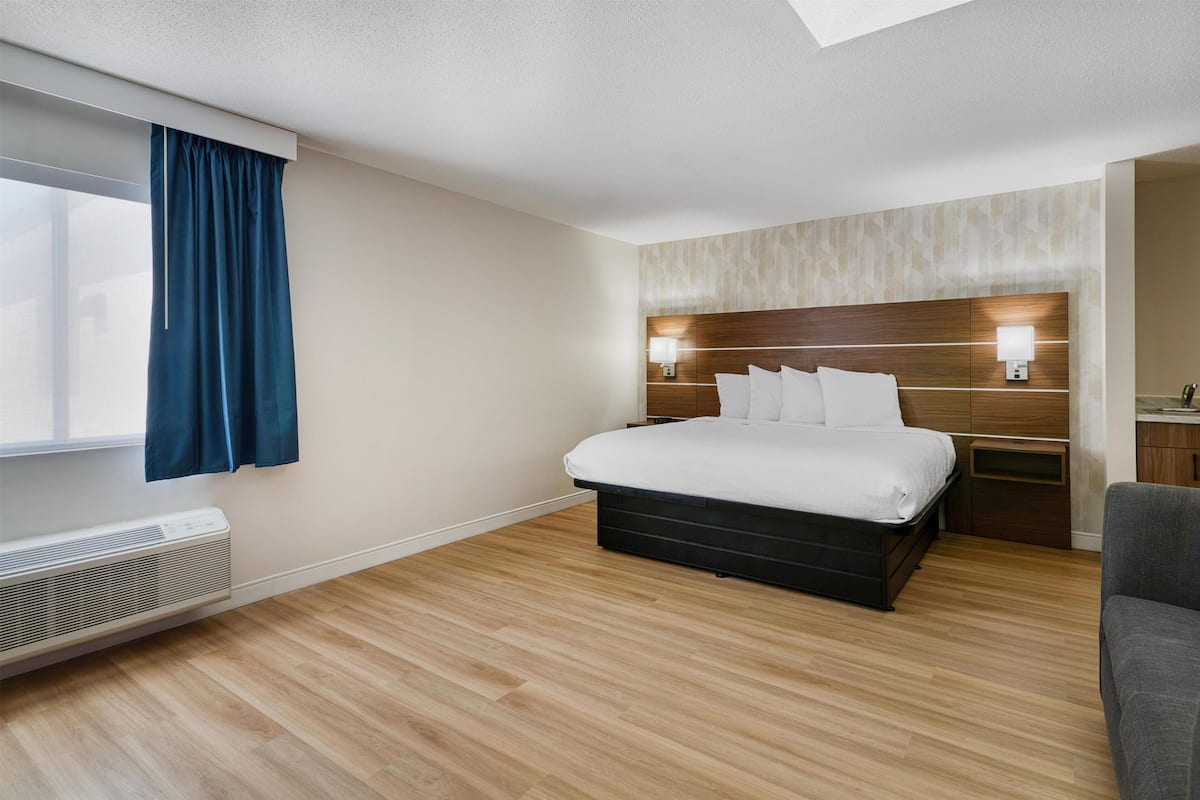 Standard Room, 1 King Bed, Non Smoking, Kitchen (Larger Room;with Sofabed) | Desk, laptop workspace, blackout drapes, iron/ironing board
