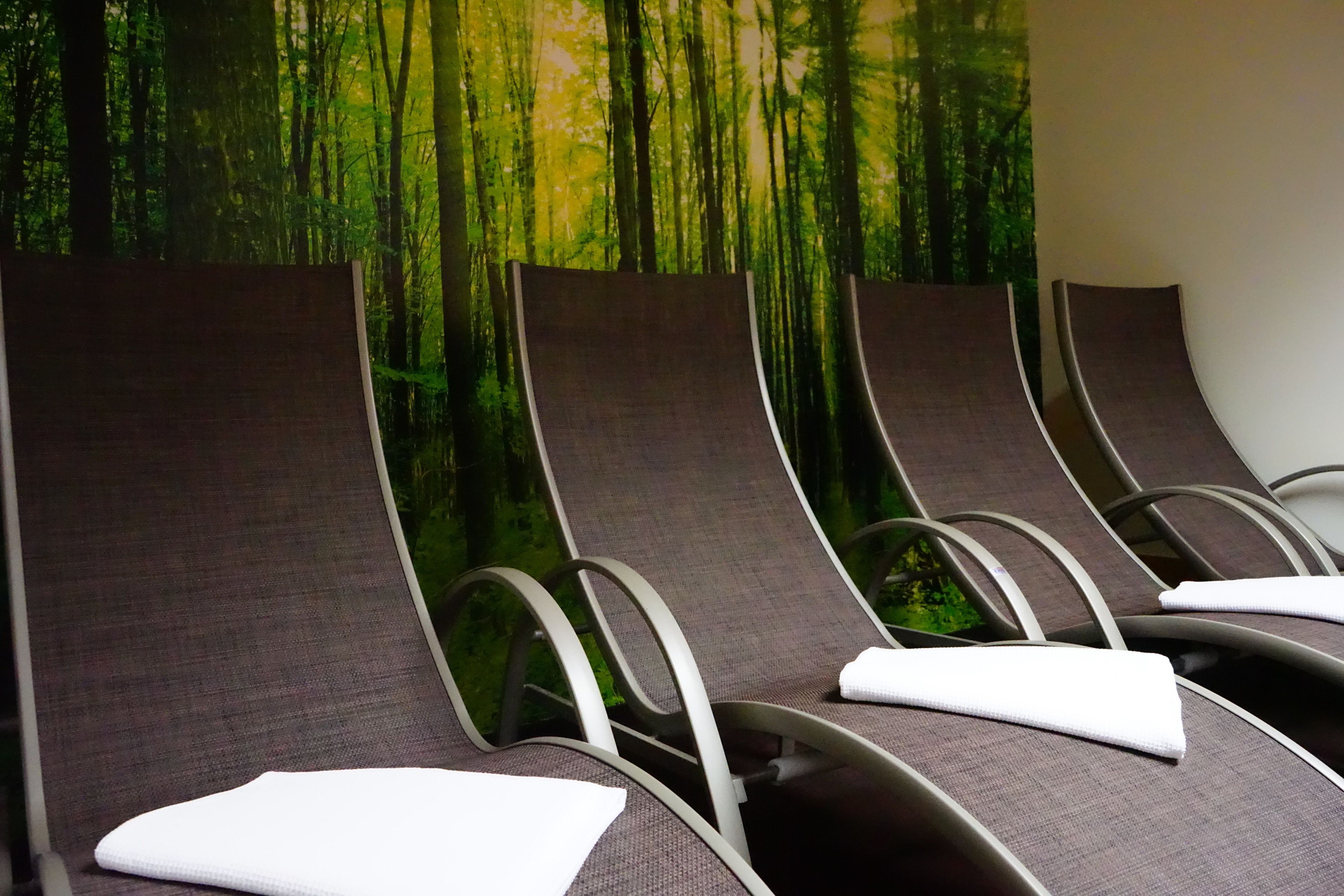 Una fila de sillones reclinables con un mural del bosque al fondo.