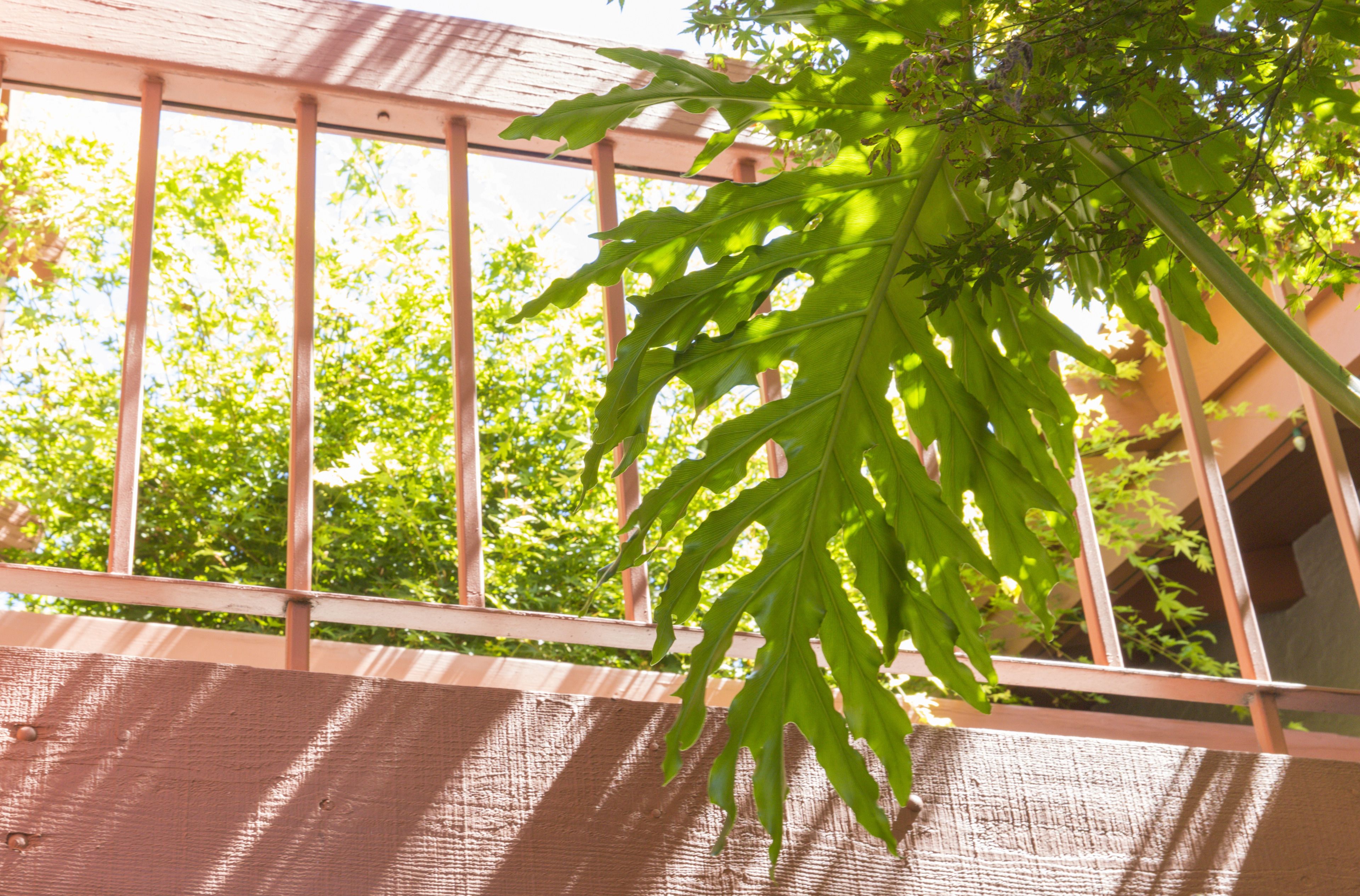 Un balcon donnant sur des arbres, avec un bâtiment visible au loin.