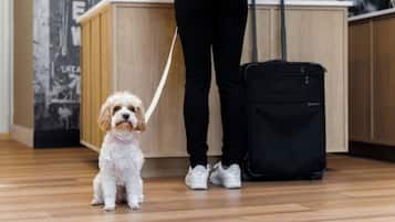 Pet-friendly
