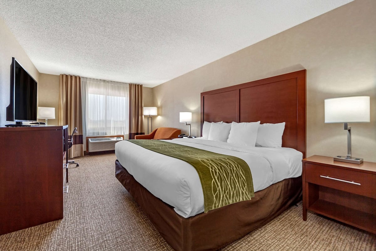 Suite, 1 cama King size y sofá cama, para no fumadores (Upgrade) | Escritorio, cortinas blackout y insonorización