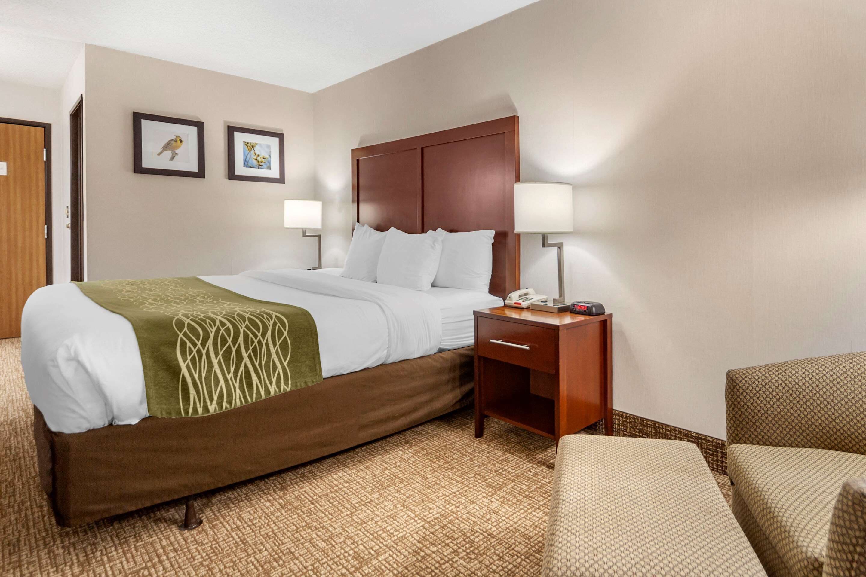 Una habitación de hotel con cama, mesita de noche, lámpara y una silla.