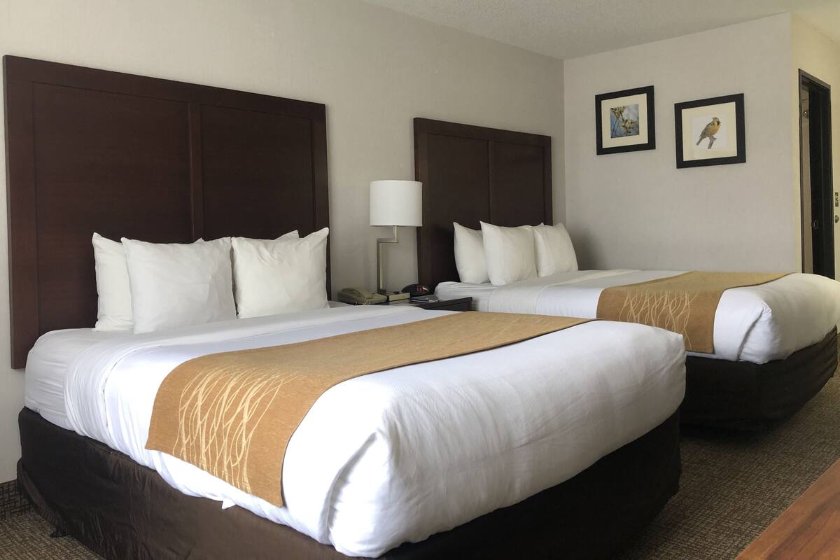 A hotel room with two beds, each with white linens and brown headboards. There is a bedside table with a lamp and a phone.