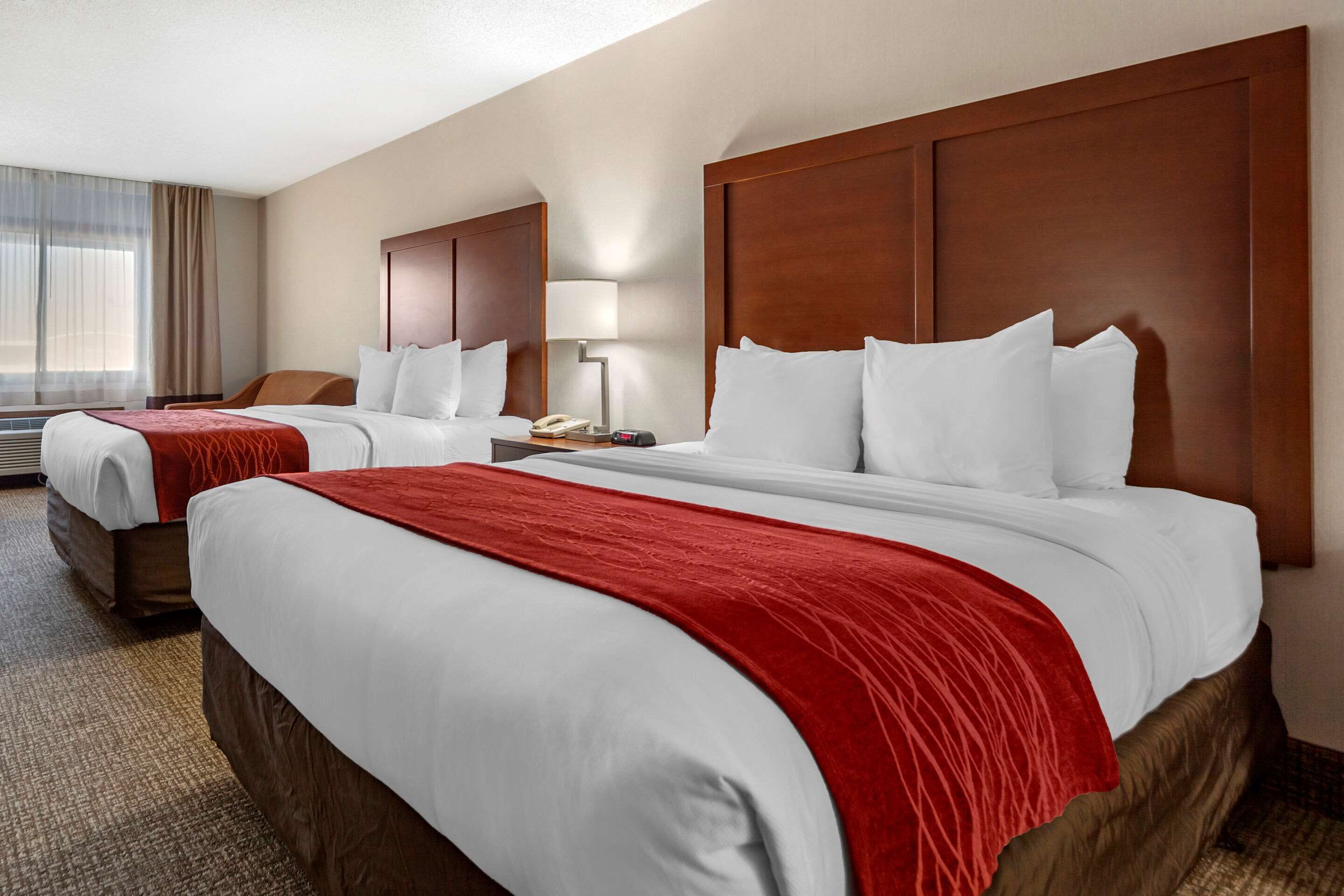 room, multiple beds | desk, blackout curtains, soundproofing, iron/ironing board