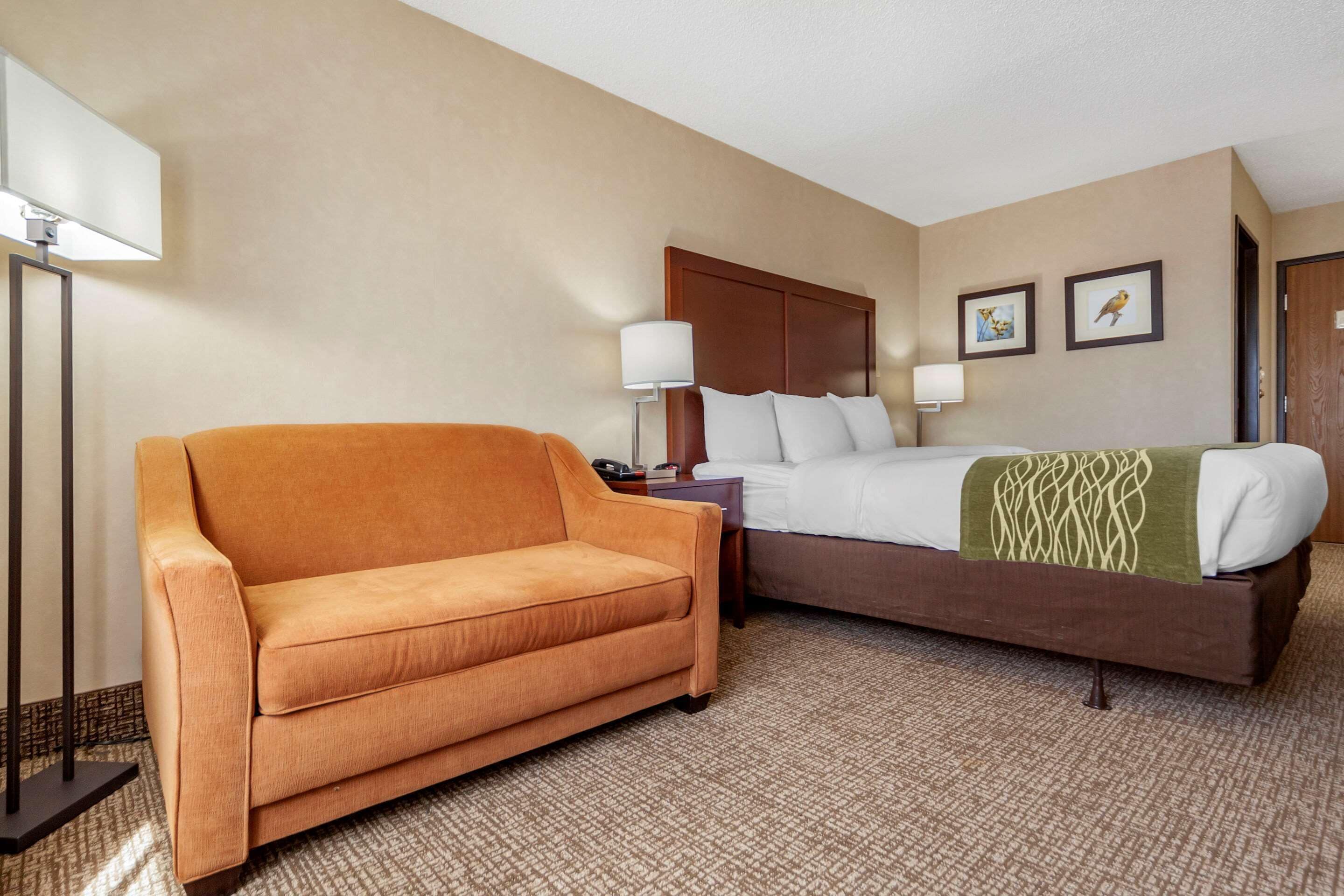 A hotel room with a bed, a sofa, a lamp, and two framed pictures on the wall.