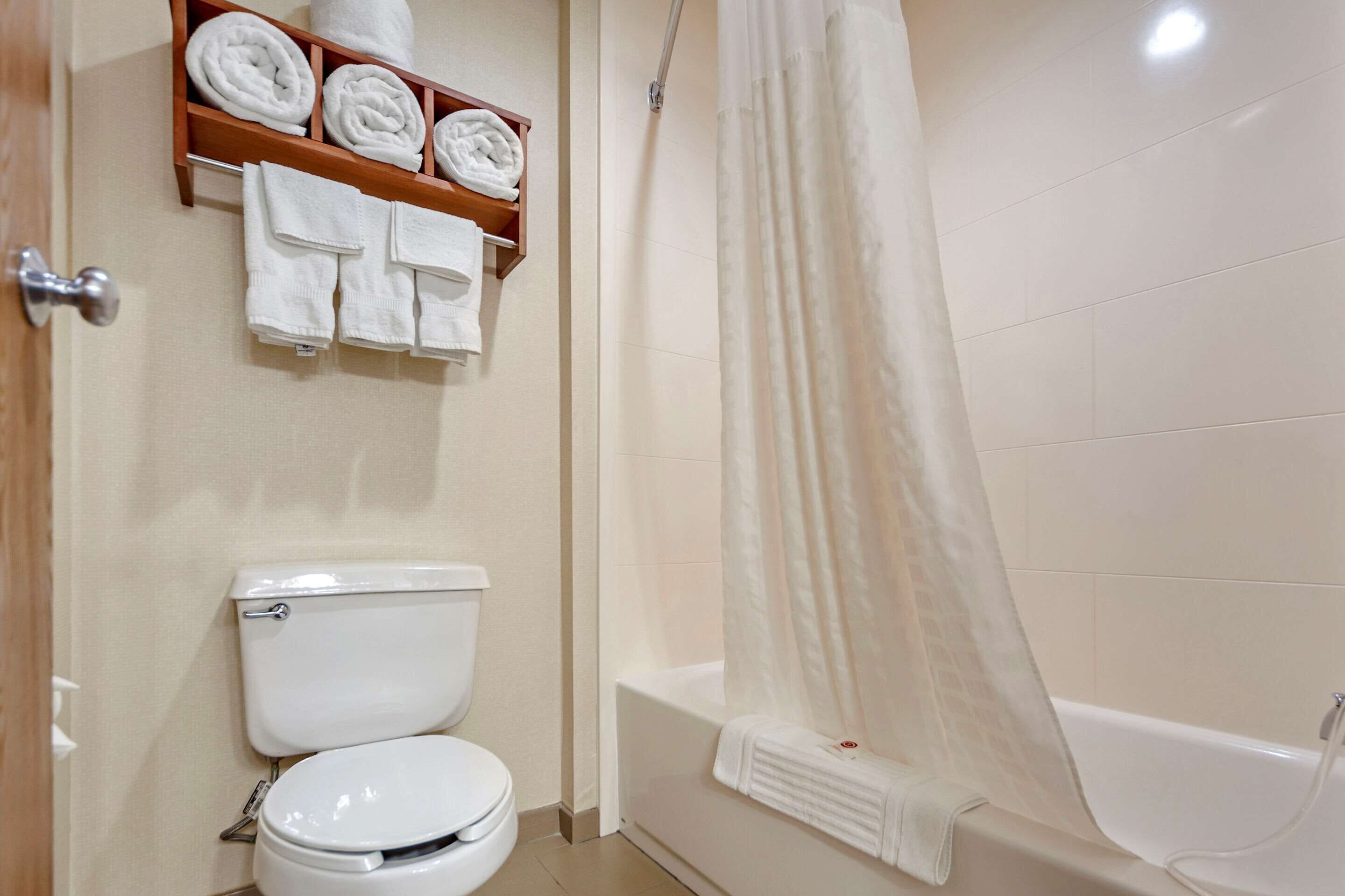 suite, 1 king bed with sofa bed, non smoking (upgrade) | bathroom | bathtub, free toiletries, hair dryer, towels