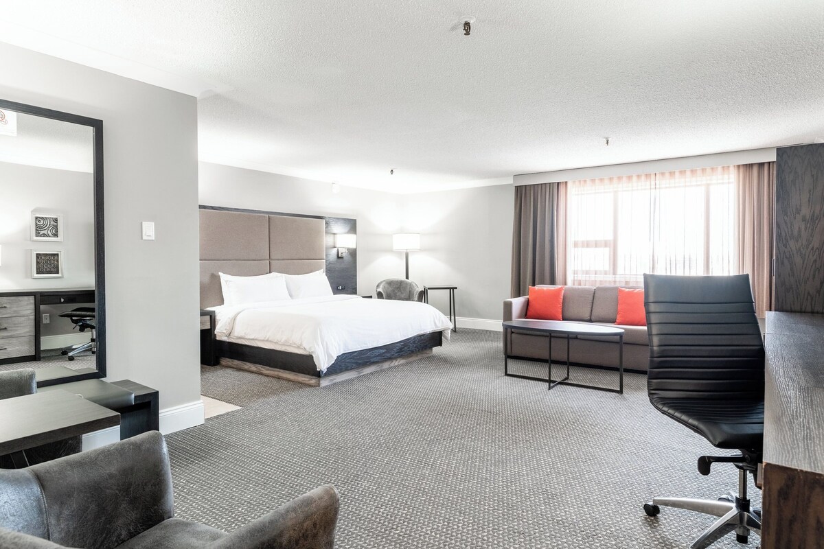 A hotel room with a bed, desk, chair, and a sofa.