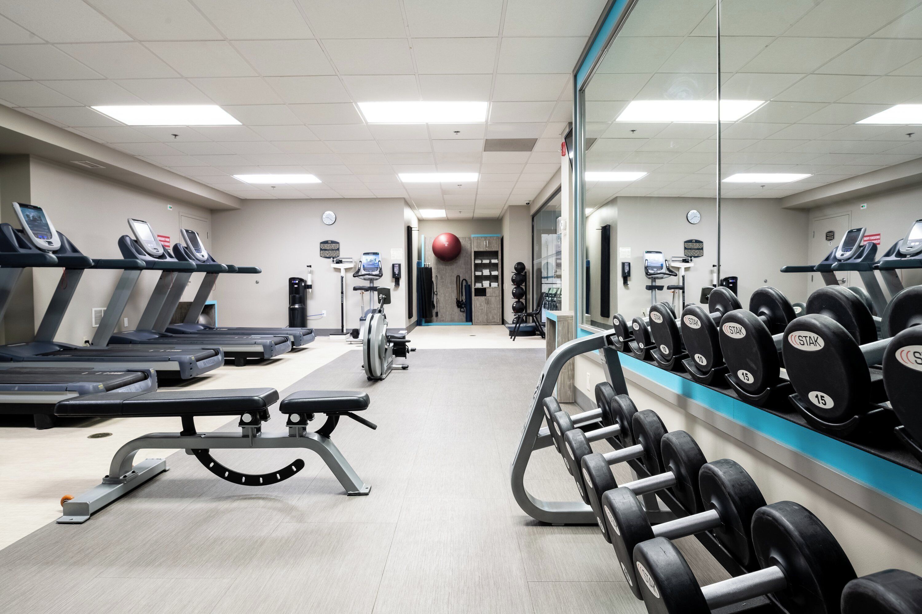 A gym with treadmills, a bench, and a rack of dumbbells.